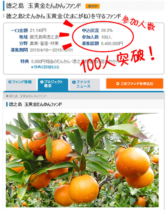 たんかんファンド100名突破