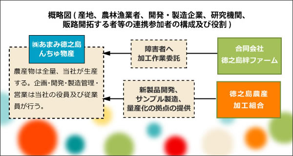 概略図