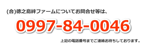 お問合せは、0997-84-0046