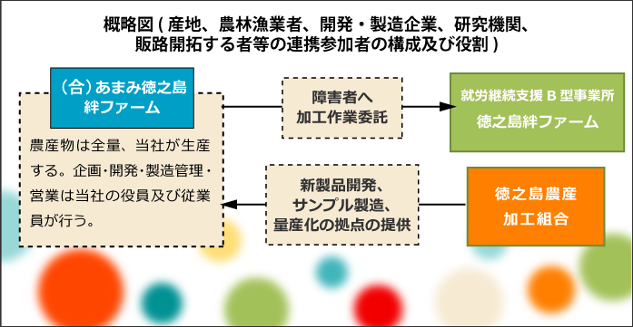 概略図